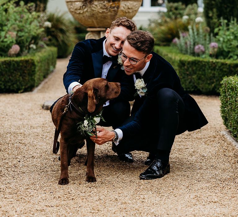 Two grooms in tuxedos with chocolate Labrador pet dog 