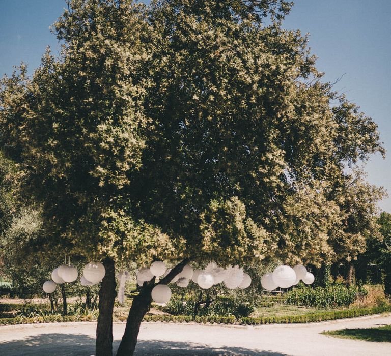 Balloon decorations hang from a tree at this rustic French wedding