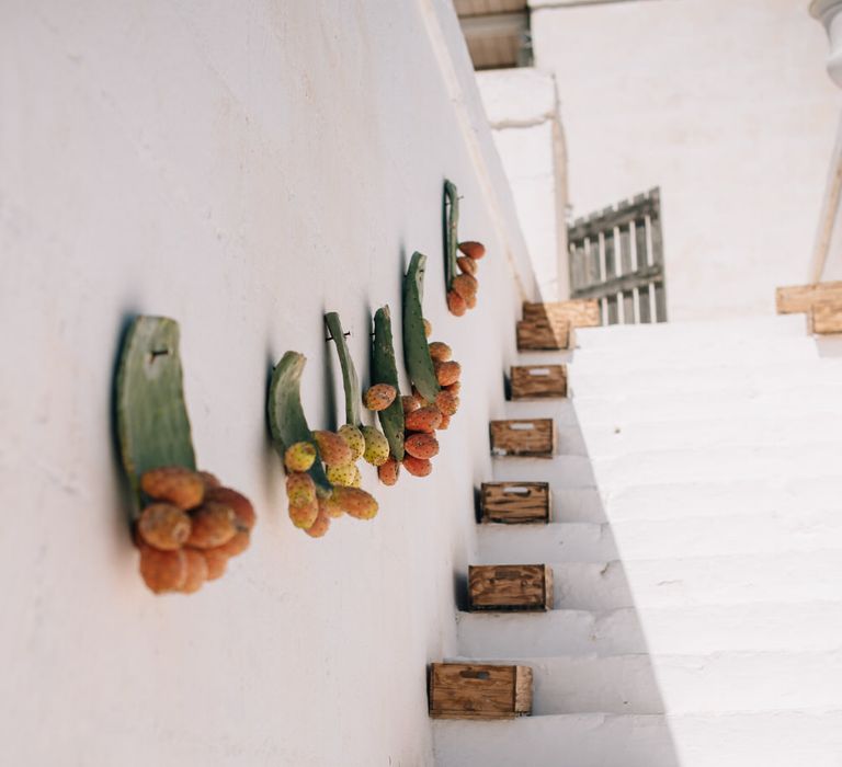 Cactus wall decorations and rustic white surroundings at Masseria Potenti