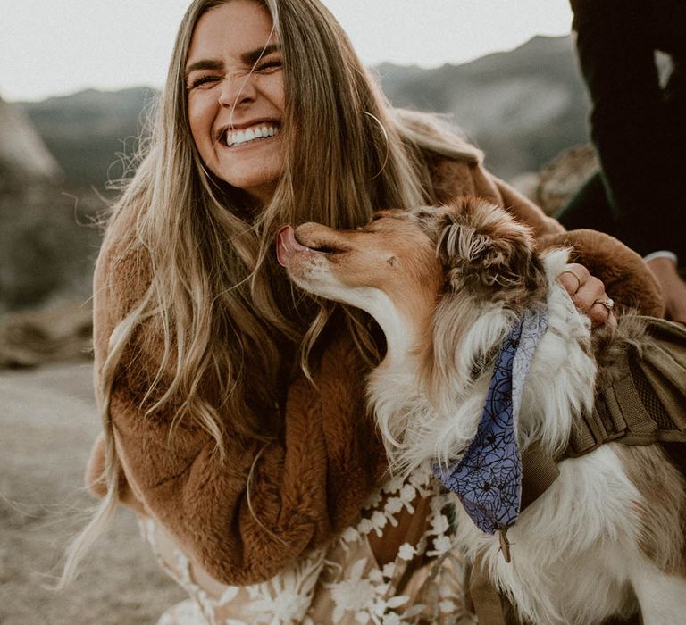 Bride laughs as dog licks her face on her wedding day