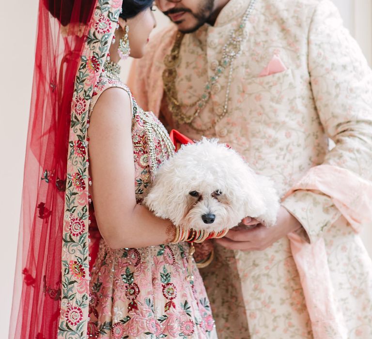 Indian bride and groom holding their pet Bichon Frise dog