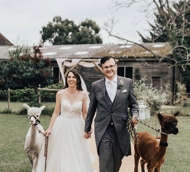 Groom in a grey three-piece morning suit walking with his bride and alpaca at their teepee wedding 