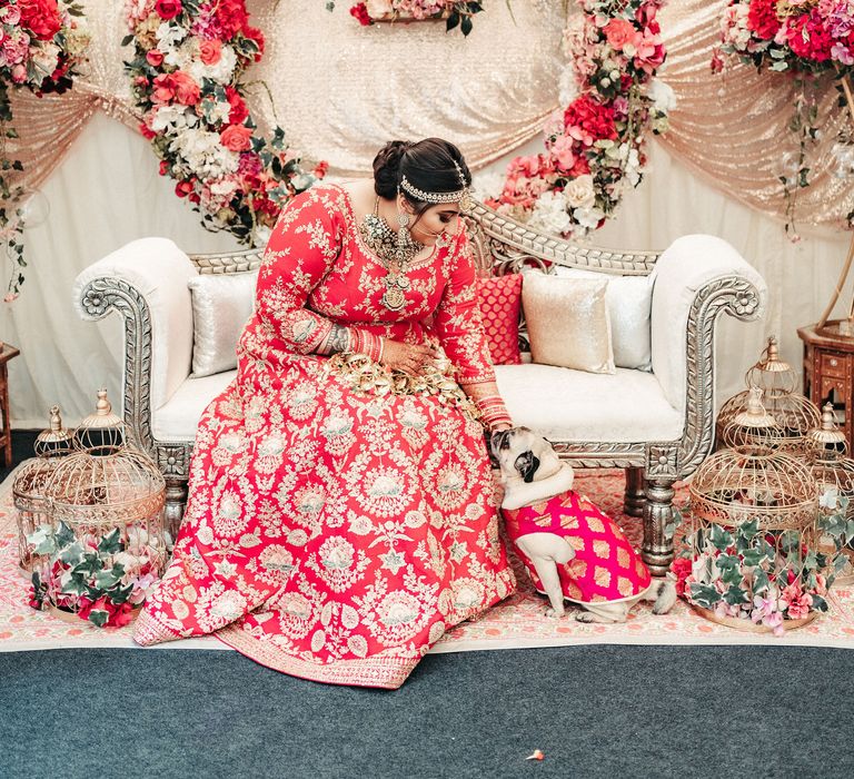 Bride wears Lengha and sits on white sofa in front of floral arch as she strokes her pug