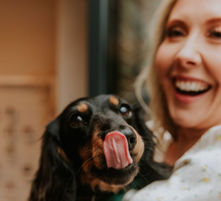 Bride holding her pet dachshund at garden wedding 