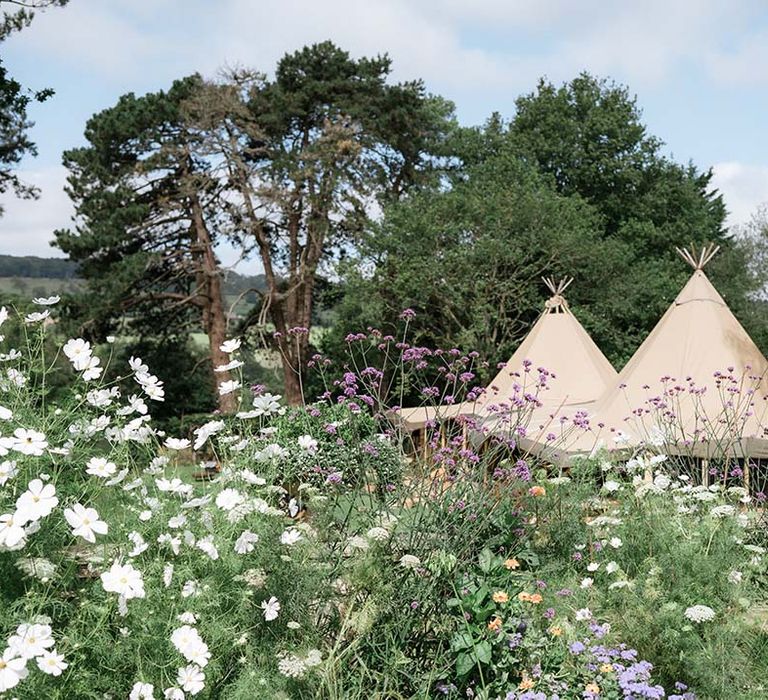 Countryside back garden wedding with Buffalo Tipi for the wedding reception based in Bath