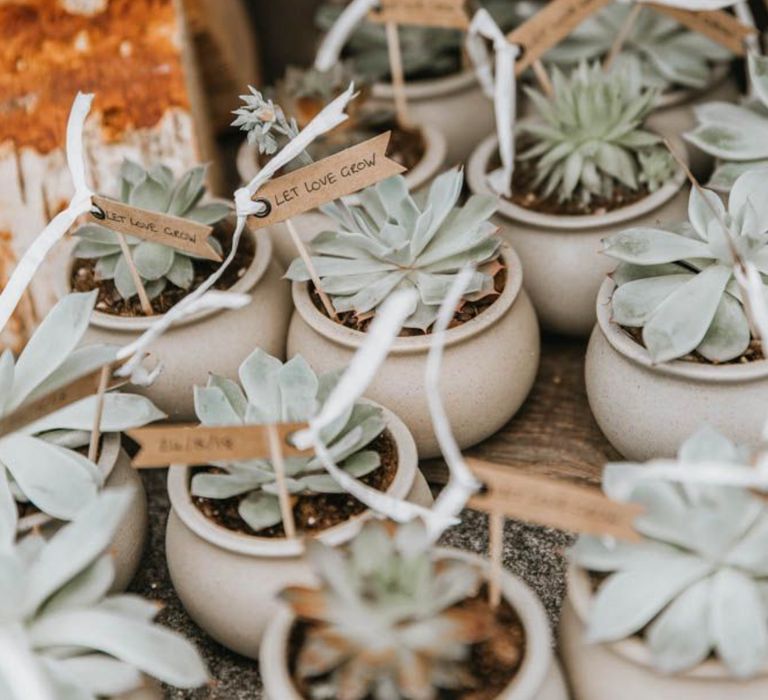 Home grown succulent wedding favours