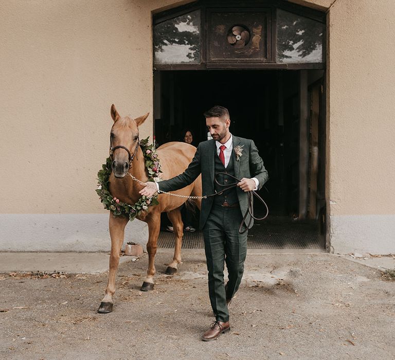 groom in a dark green suit and red tie leading a horse with a flower collar out the stable 