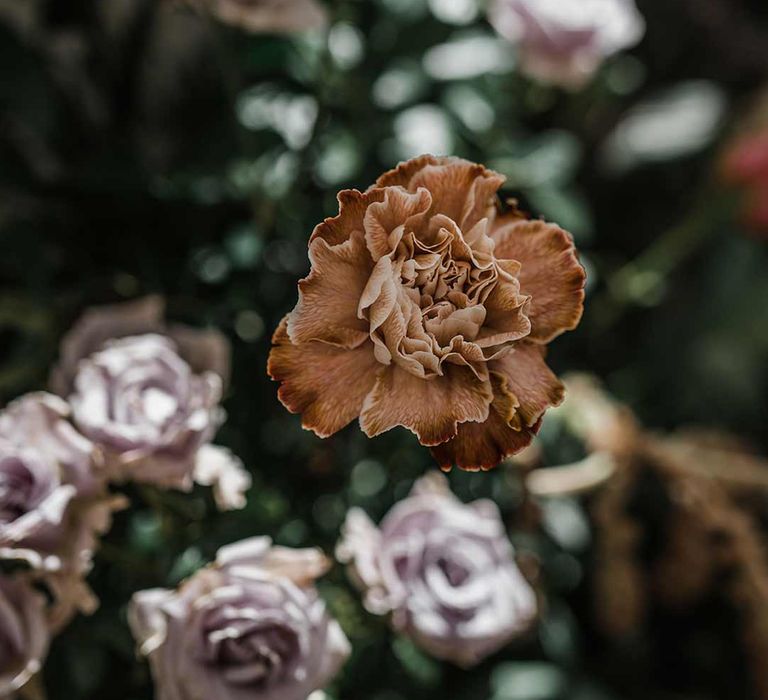 Dried carnation in dried wildflower wedding flower arrangement at Buxted Park