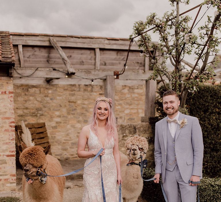 Bride & groom hold alpacas outdoors at Oxleaze Barn on their wedding day