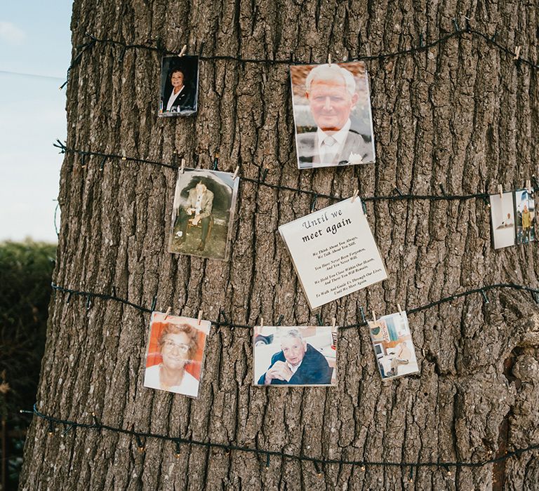 Remembrance tree complete with pictures of lost loved ones 