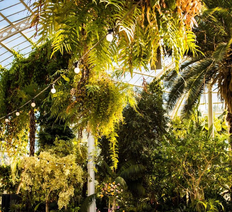 Sefton Park Palm House glasshouse wedding with round tables for the wedding breakfast 