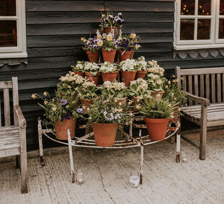 Flower pots filled with Spring blooms 