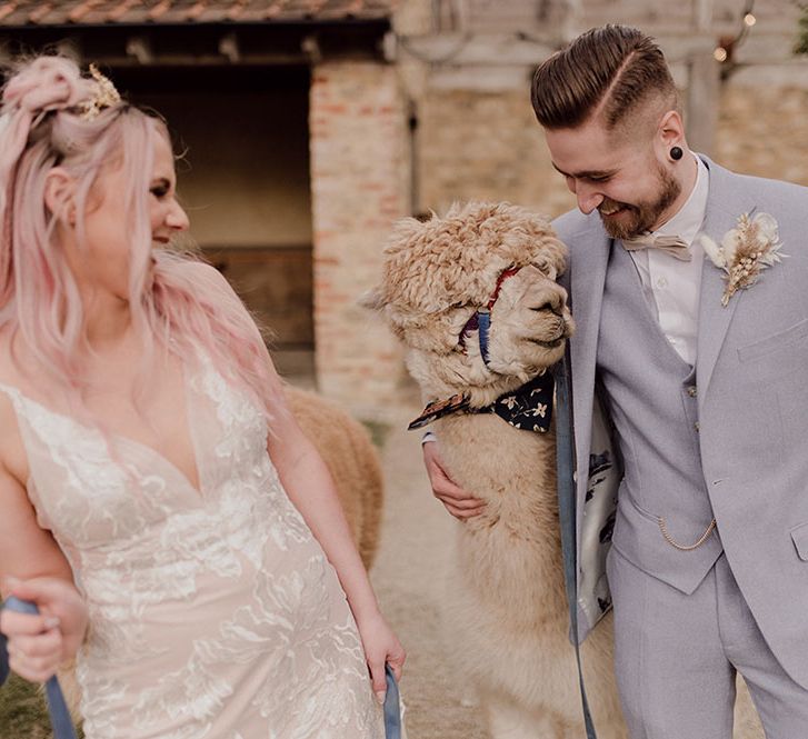 Bride & groom stand with alpacas at Oxleaze Barn on their wedding day