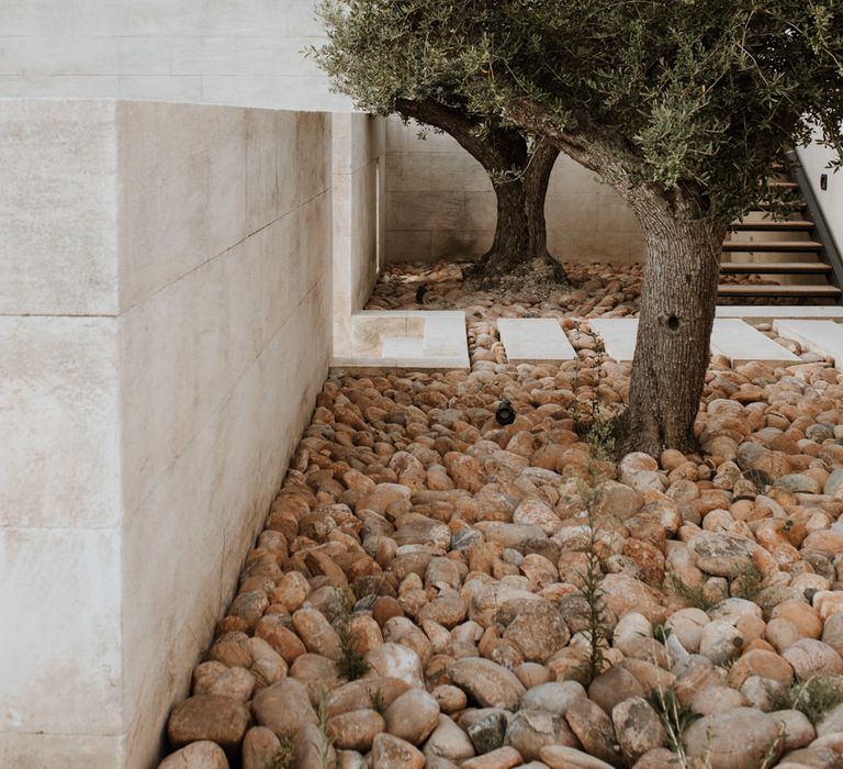 Minimalist wedding theme wedding venue courtyard with trees