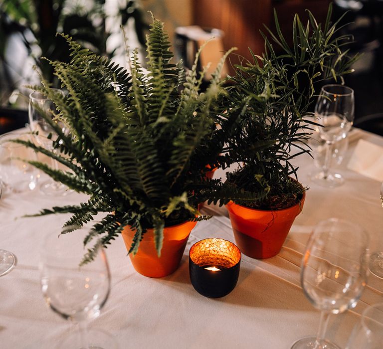 Terracotta plant pots filled with succulents for table centrepieces 