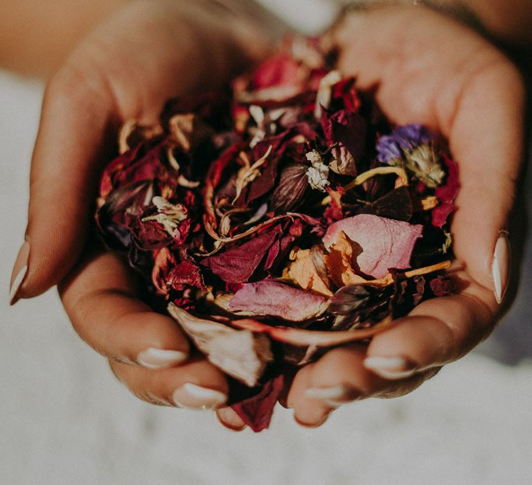 Indian bride holding dried flower petal wedding confetti 