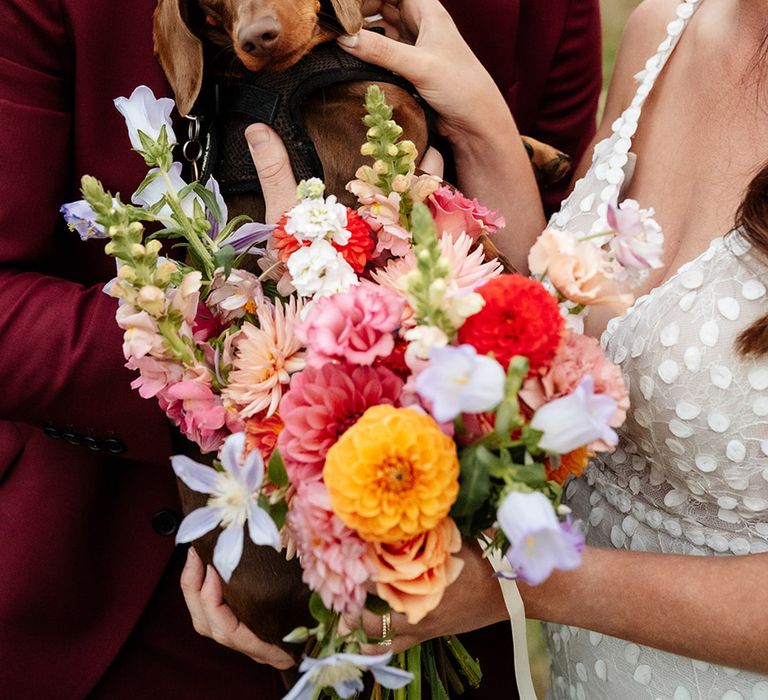 Bride and groom hold their pet sausage dog wearing a flower collar 