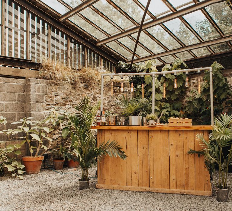 Wooden industrial themed bar with hanging naked bulbs in glasshouse with potted plants for wedding breakfast at Anran Devon