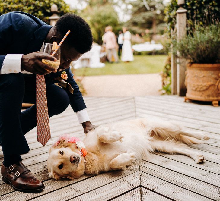 Groom in brown monks trap shoes stroking his pet golden retriever with a pink flower collar 