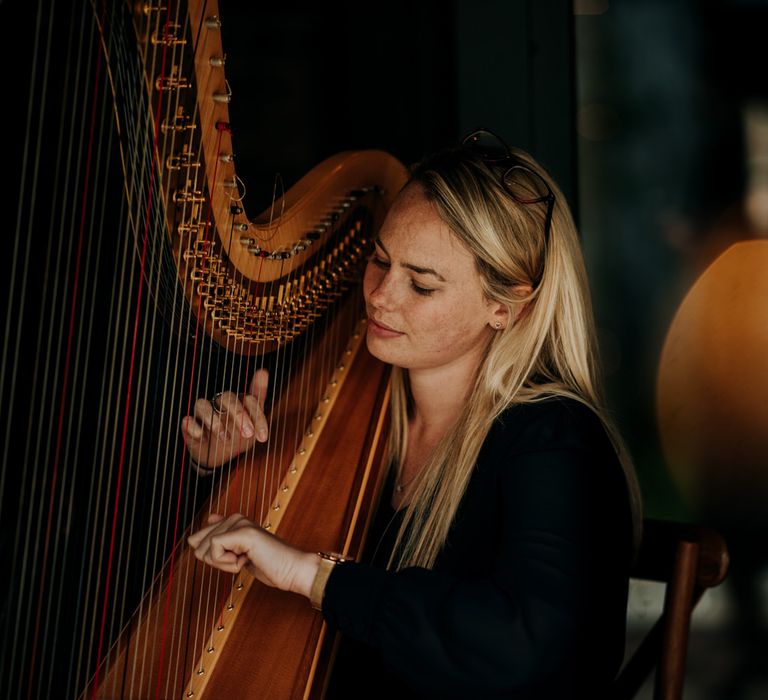 Harpist wedding entertainment 