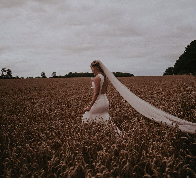 Bride walks through golden field as her floor-length veil blows in the wind