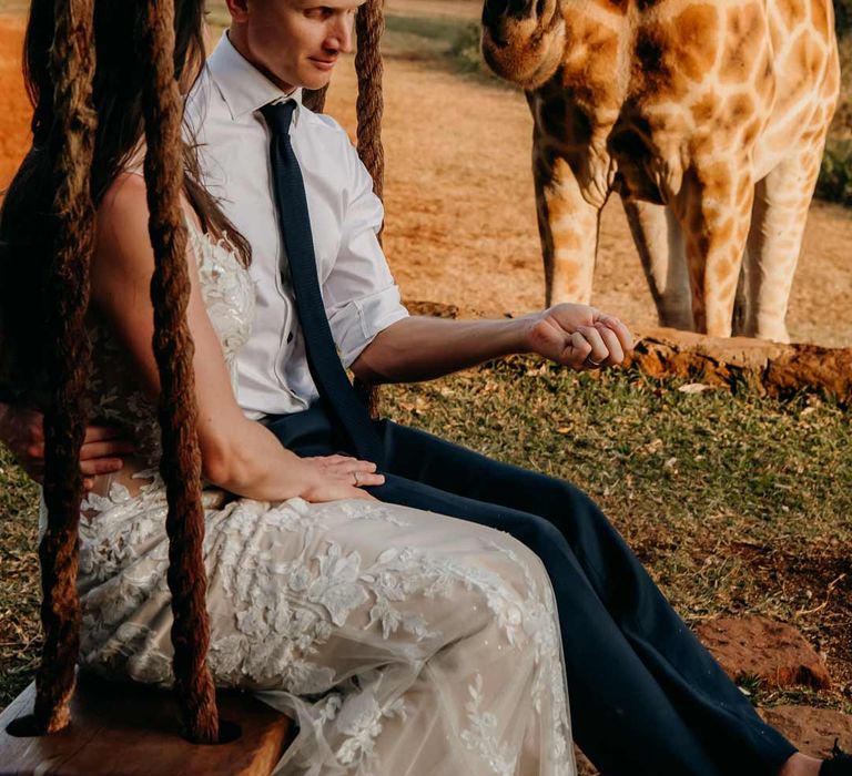 Groom in white shirt, black tie and black suit trousers feeding giraffes sat on a swing with bride in lace sleeveless wedding dress with puddle train at intimate elopement ceremony at Giraffe Manor wedding venue in Kenya, East Africa 