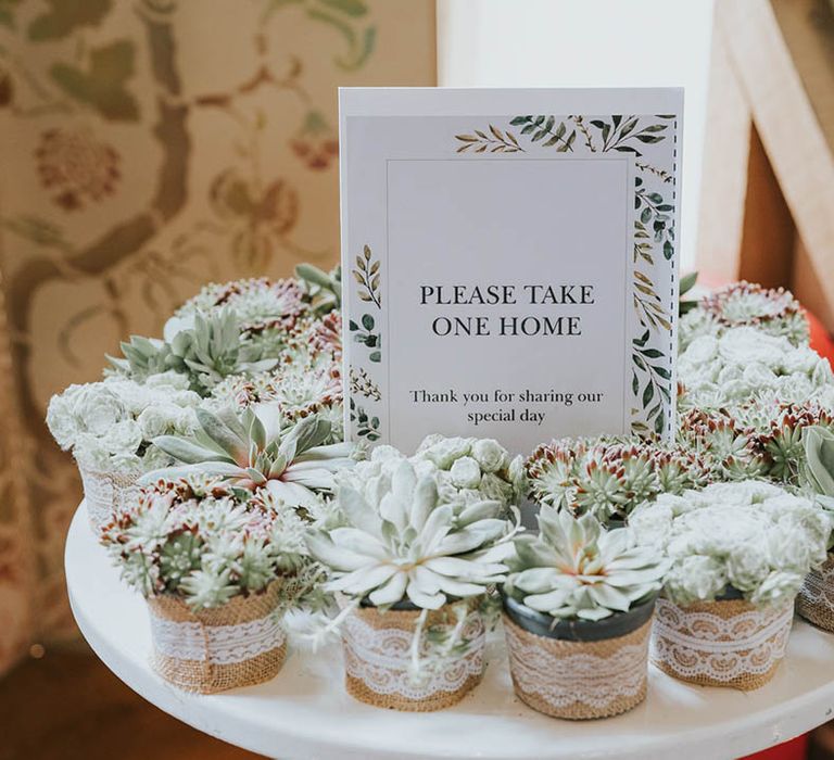 succulent wedding favours for guests to take in lace pots