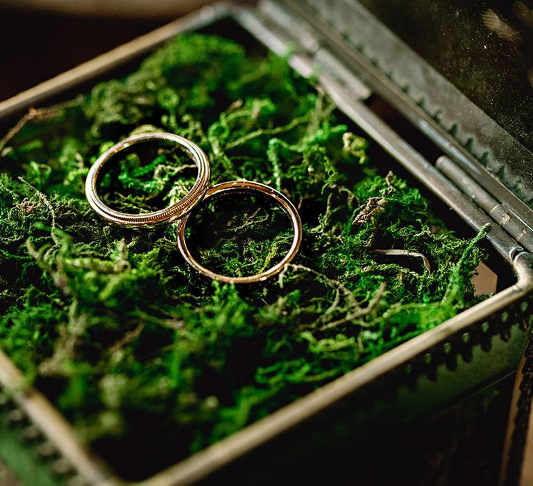 Gold wedding bands on green moss in vintage styled box