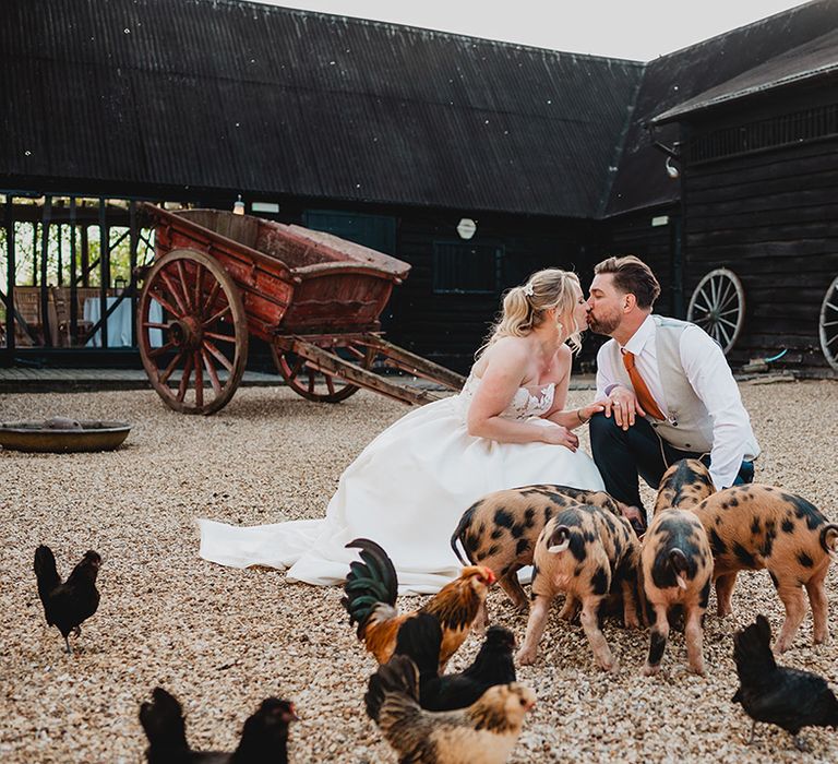 bride-and-groom-feeding-pigs-at-farm-wedding