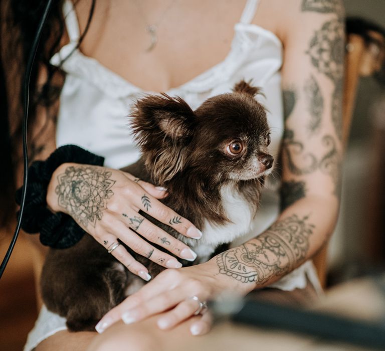 pet-chihuahua-at-wedding