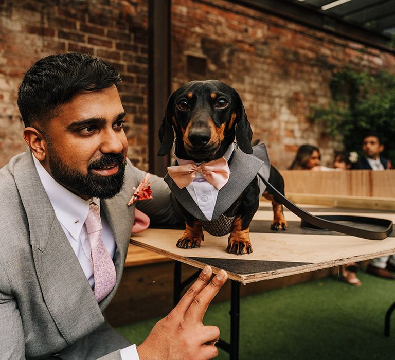 pet-dog-wearing-tuxedo-at-wedding