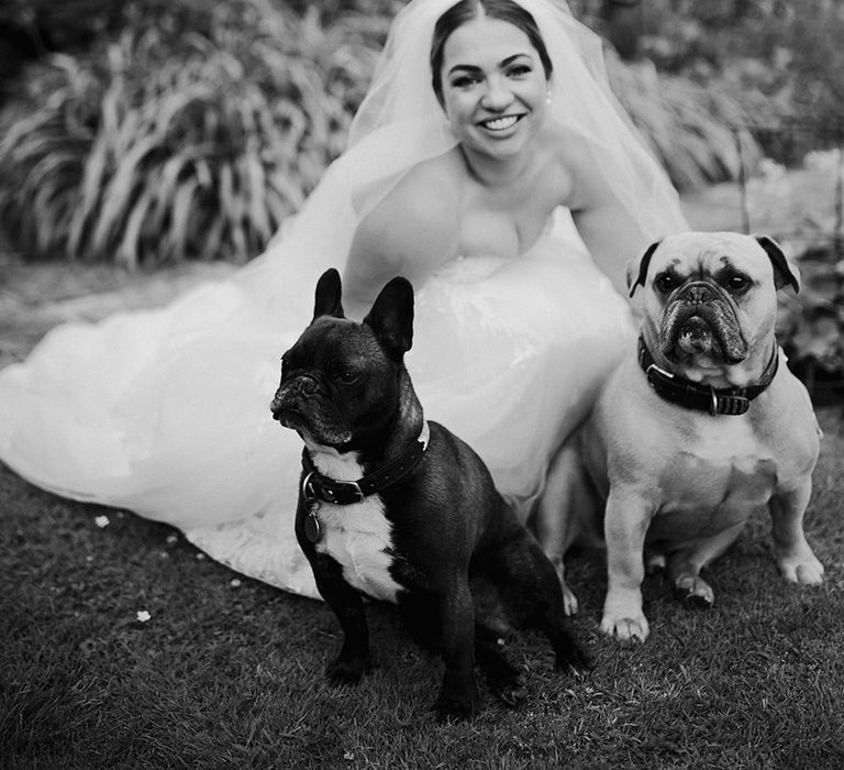 pets-at-weddings-with-pet-dogs-and-bride