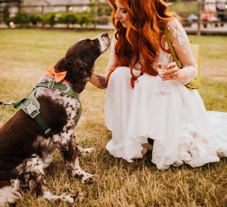 pet-dog-at-wedding-wearing-bow-tie-collar