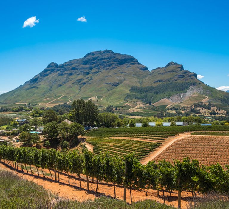 cape-winelands-south-africa