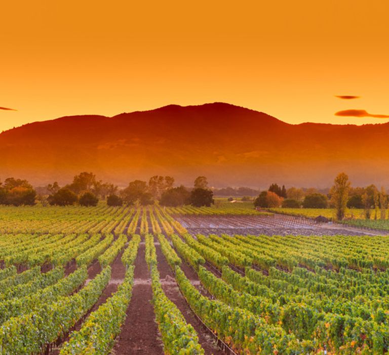 napa-valley-california-vineyard-proposal-location-ideas