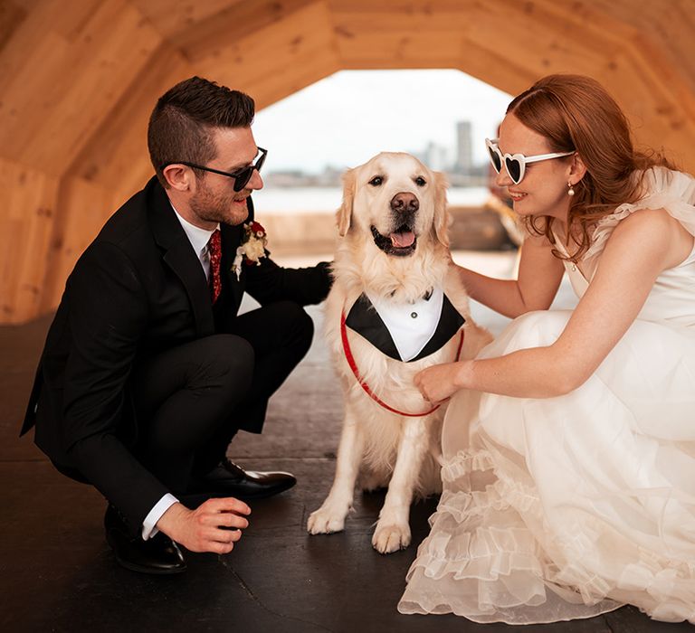 bride-and-groom-with-pet-dog