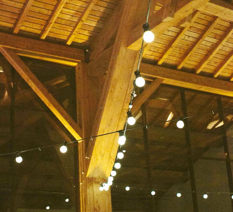 Festoon Lights