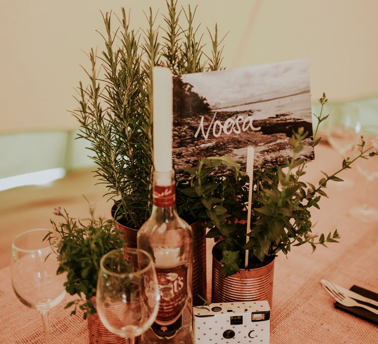 Plants & Bottles Wedding Decor