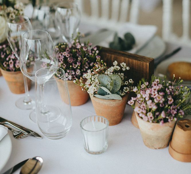 Potted Plants Table Centrepieces