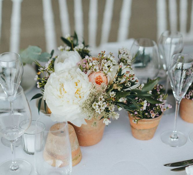 Potted Plants Table Centrepieces