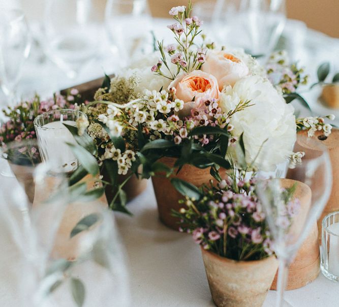 Potted Plants Table Centrepieces