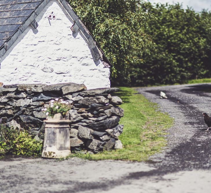 Hafod Farm