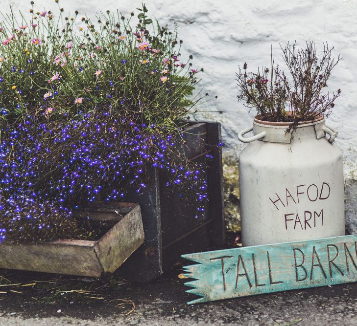 Hafod Farm