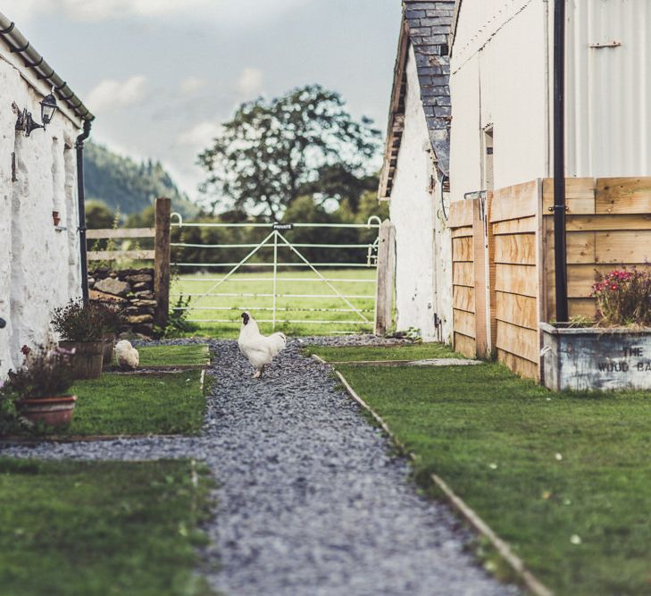 Hafod Farm