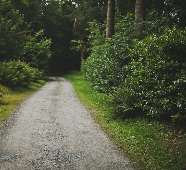 Country Lane