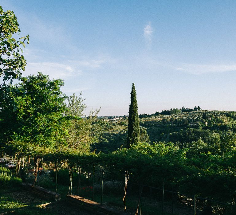 Treehouse Editorial in Tuscany