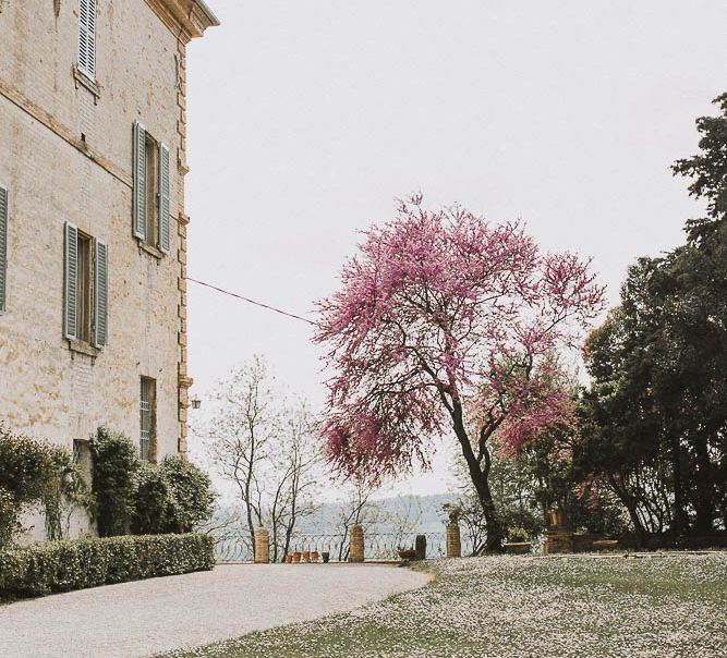 Italian Wedding Inspiration At A Neoclassical Villa With A Pale Pink & Marsala Colour Palette Images By Andrea Calvano