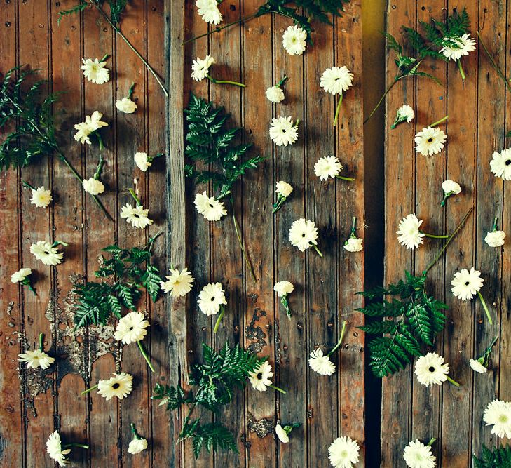 Flower Stems