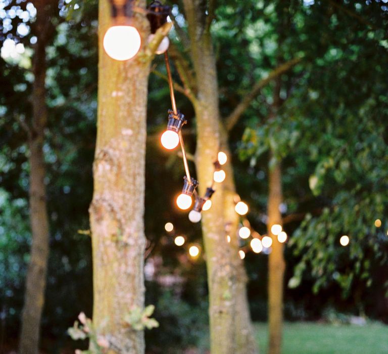 Festoon Lights