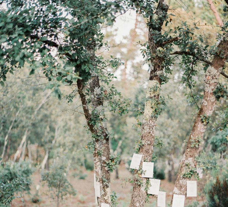 Strung Up Tree Table Plan